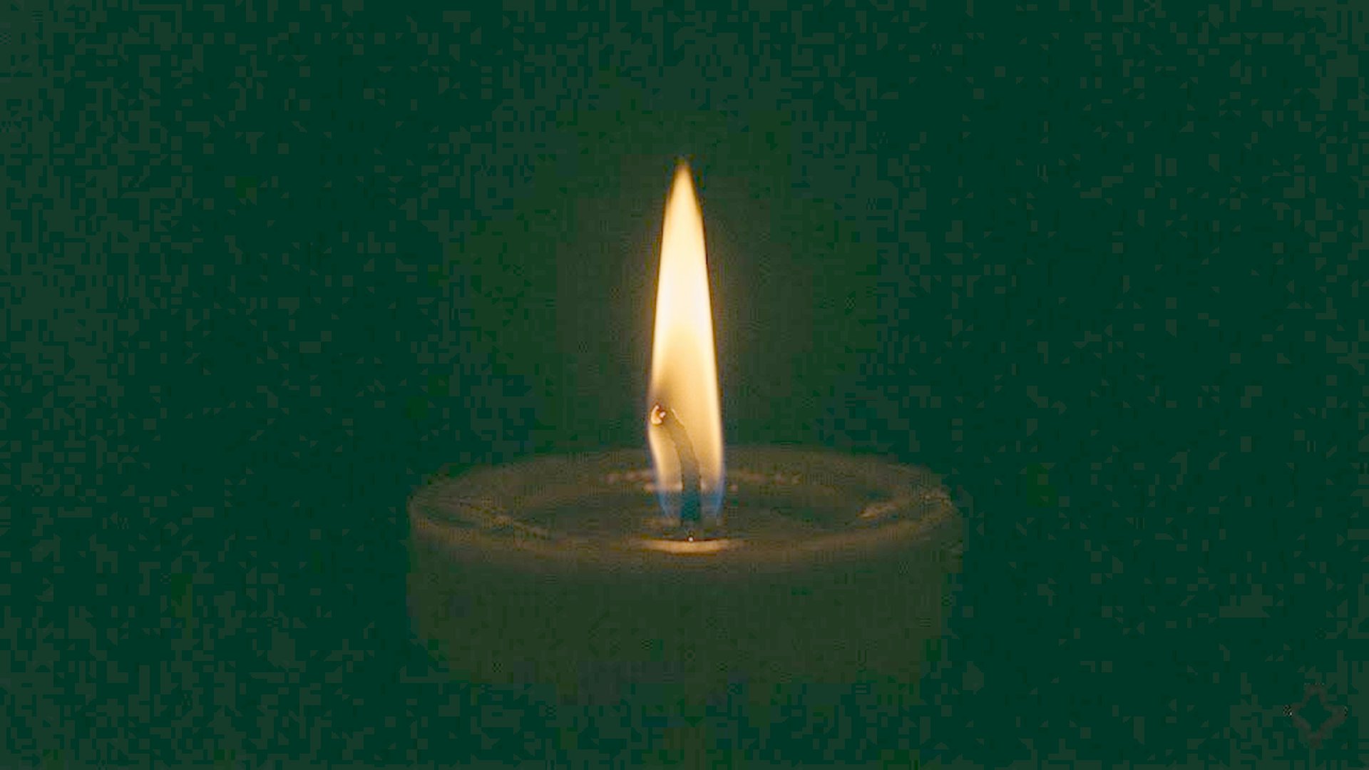 Moth+Flame company imagery: candle flame